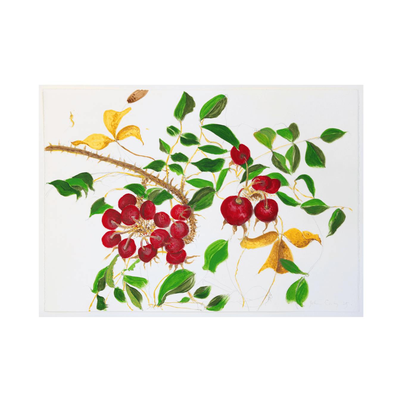 John Corley, Beach Veg, 2025