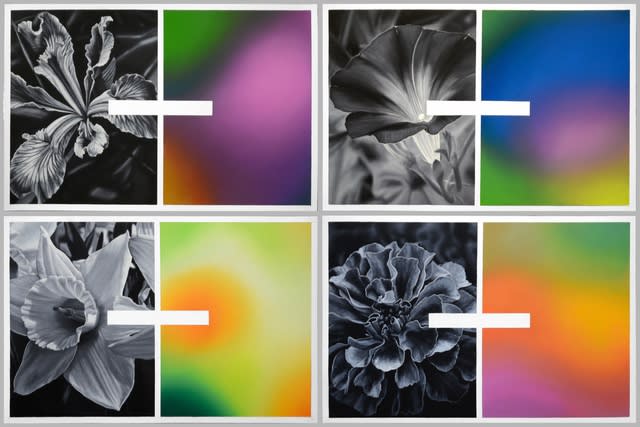 Javier Peláez, Flores venenosas I, II, III & IV, 2020