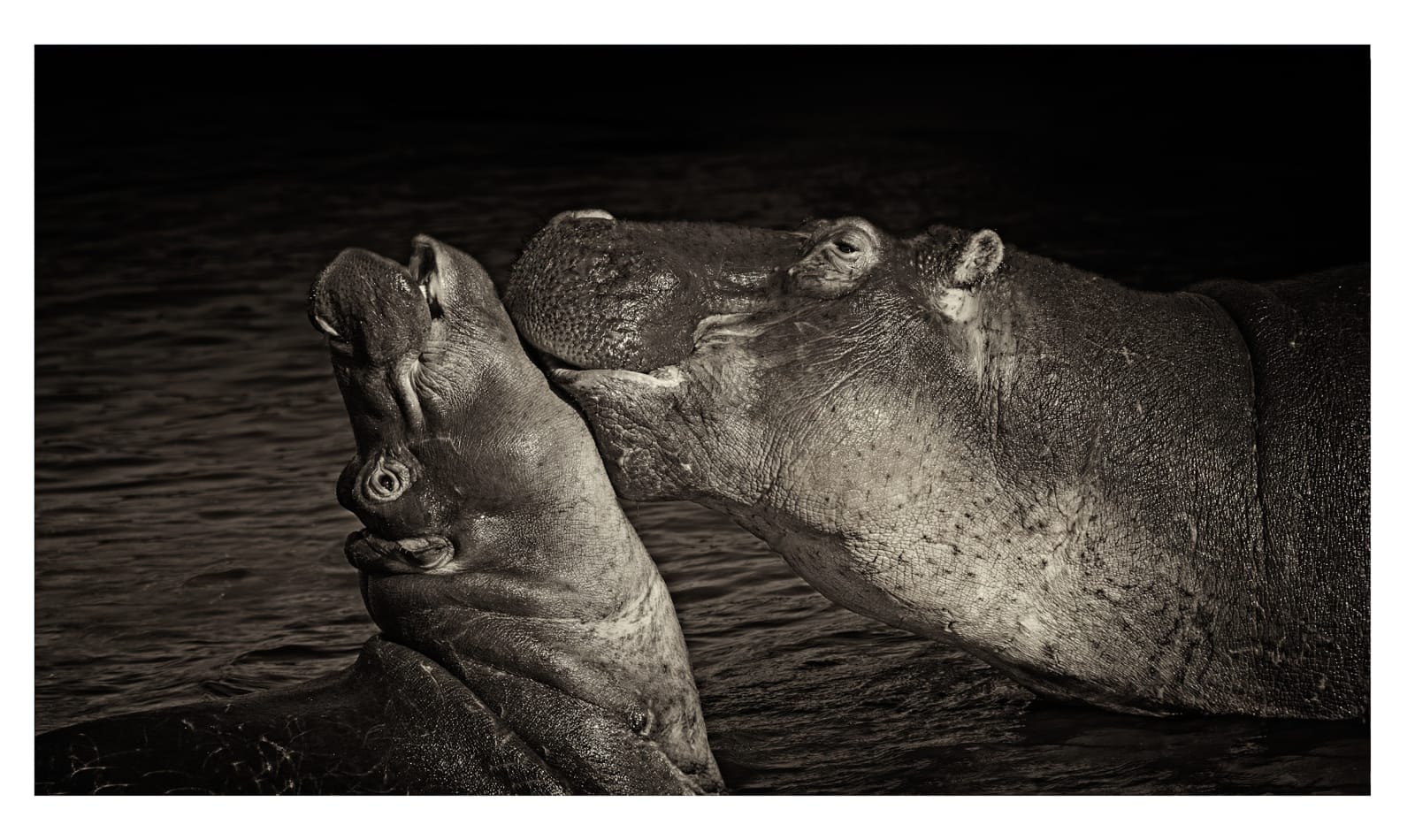 Fran Marti, The kiss- Tanzania, 2016