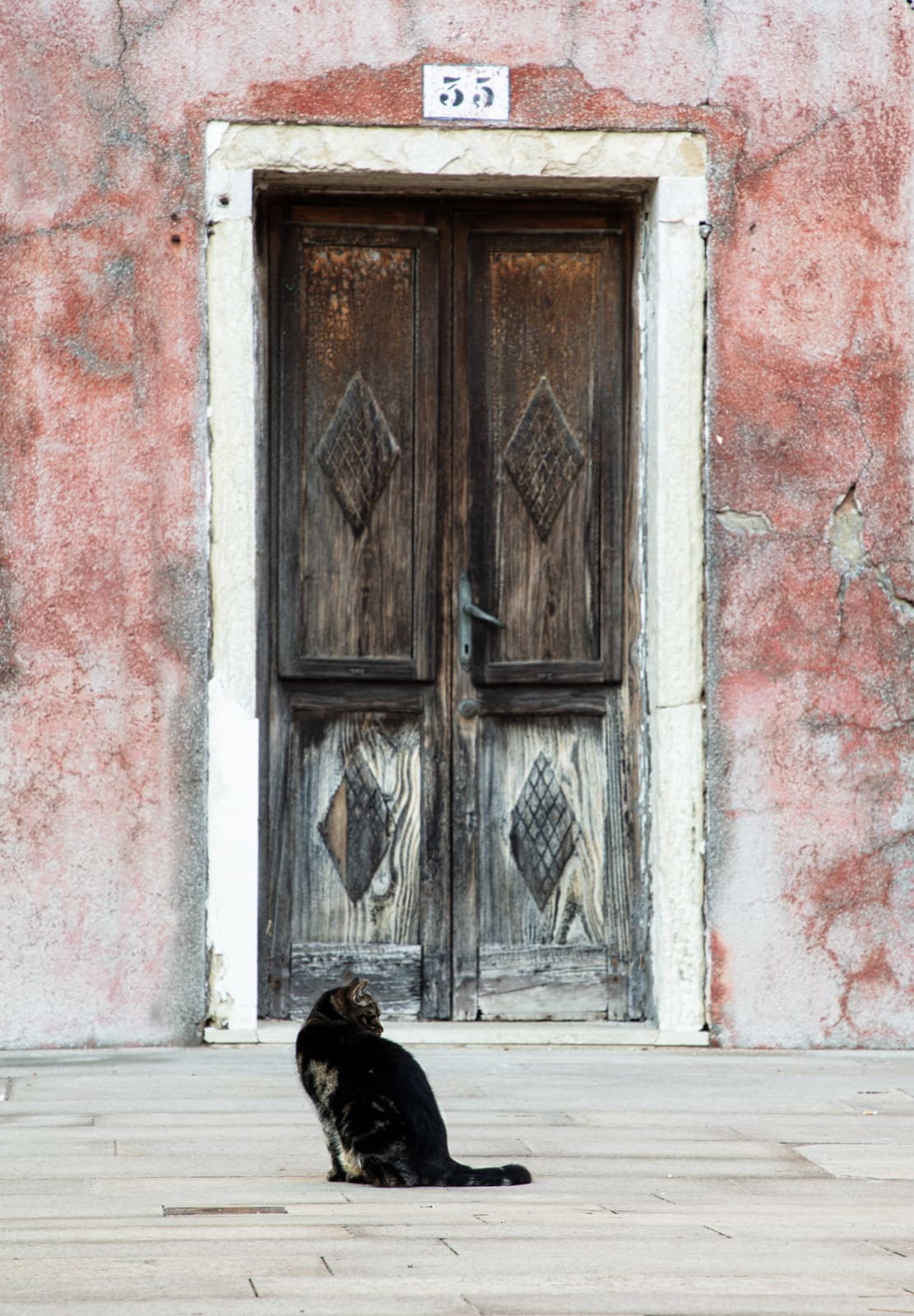 Kate Lloyd, Burano Door 1, 2022