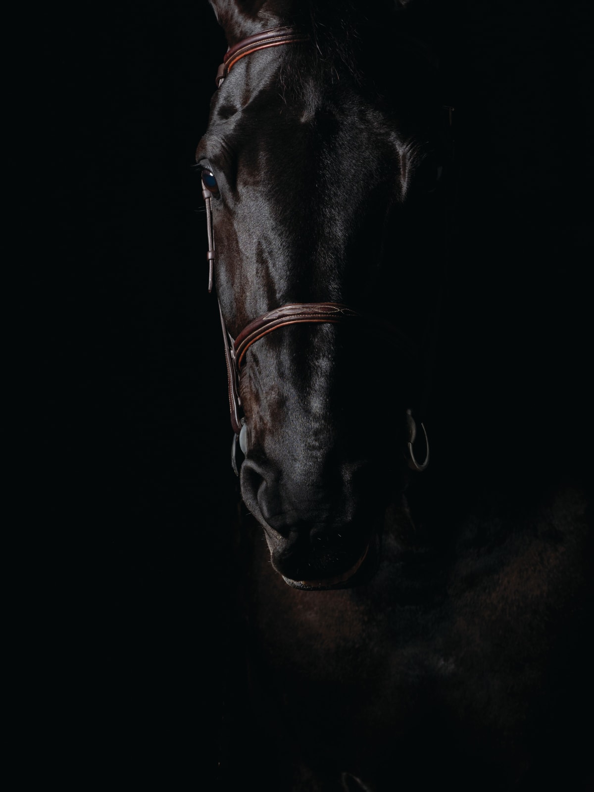 Kate Lloyd, Black Diamond, 2018