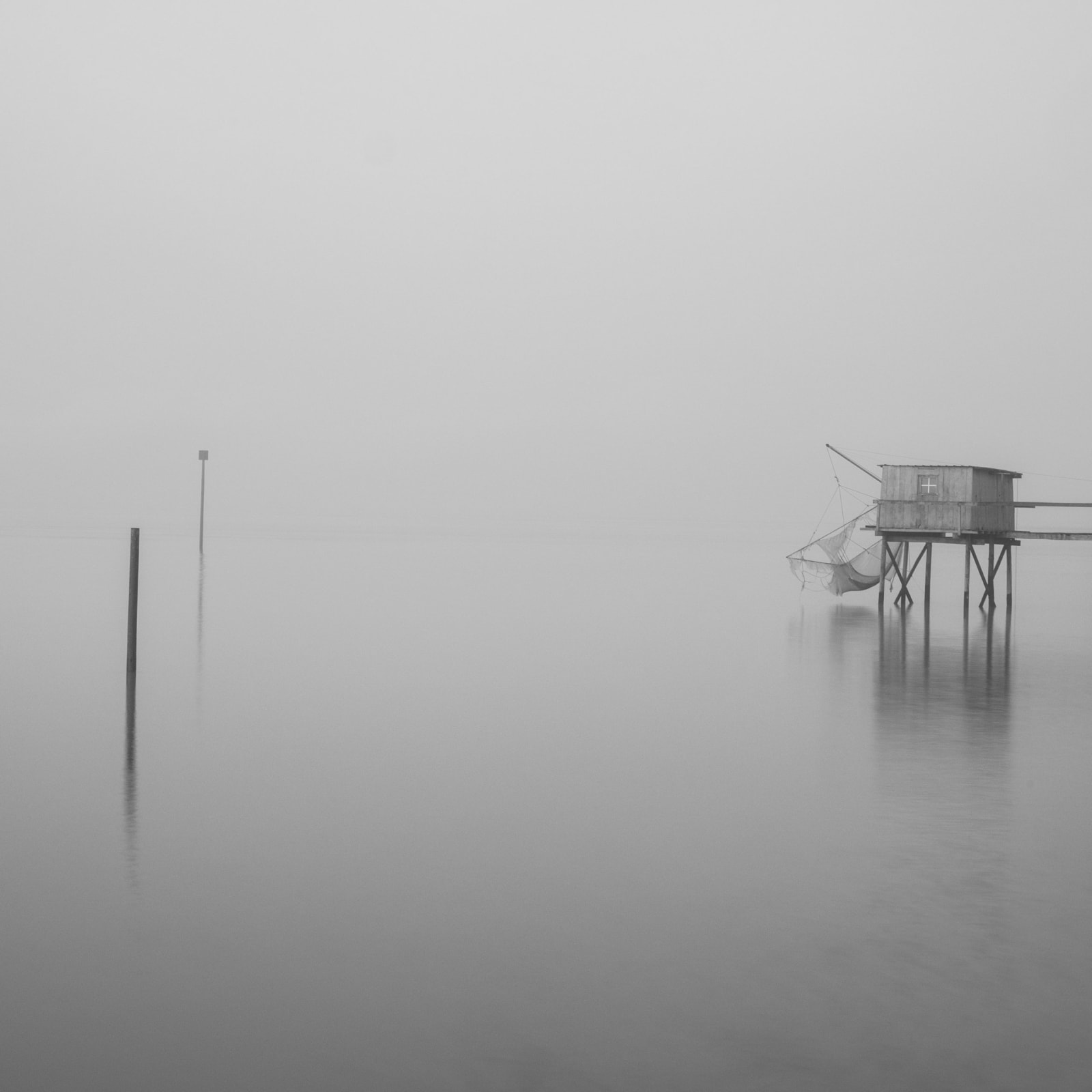 Kate Lloyd, Carrelet Plus 2, 2017