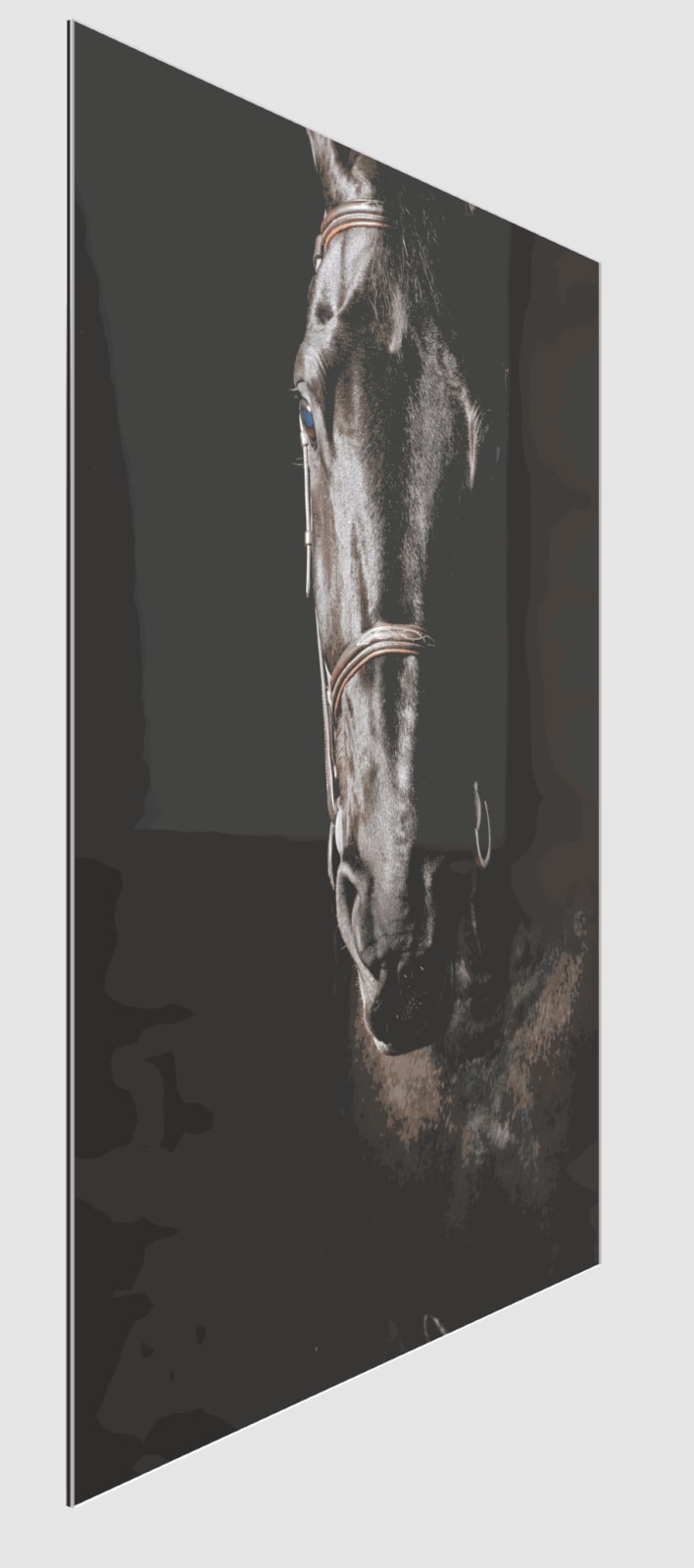 Kate Lloyd, Black Diamond, 2018