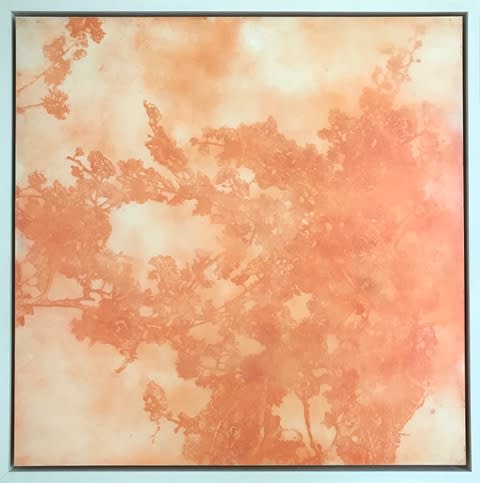 Andrew Taylor, Outside : Canopy, 2010