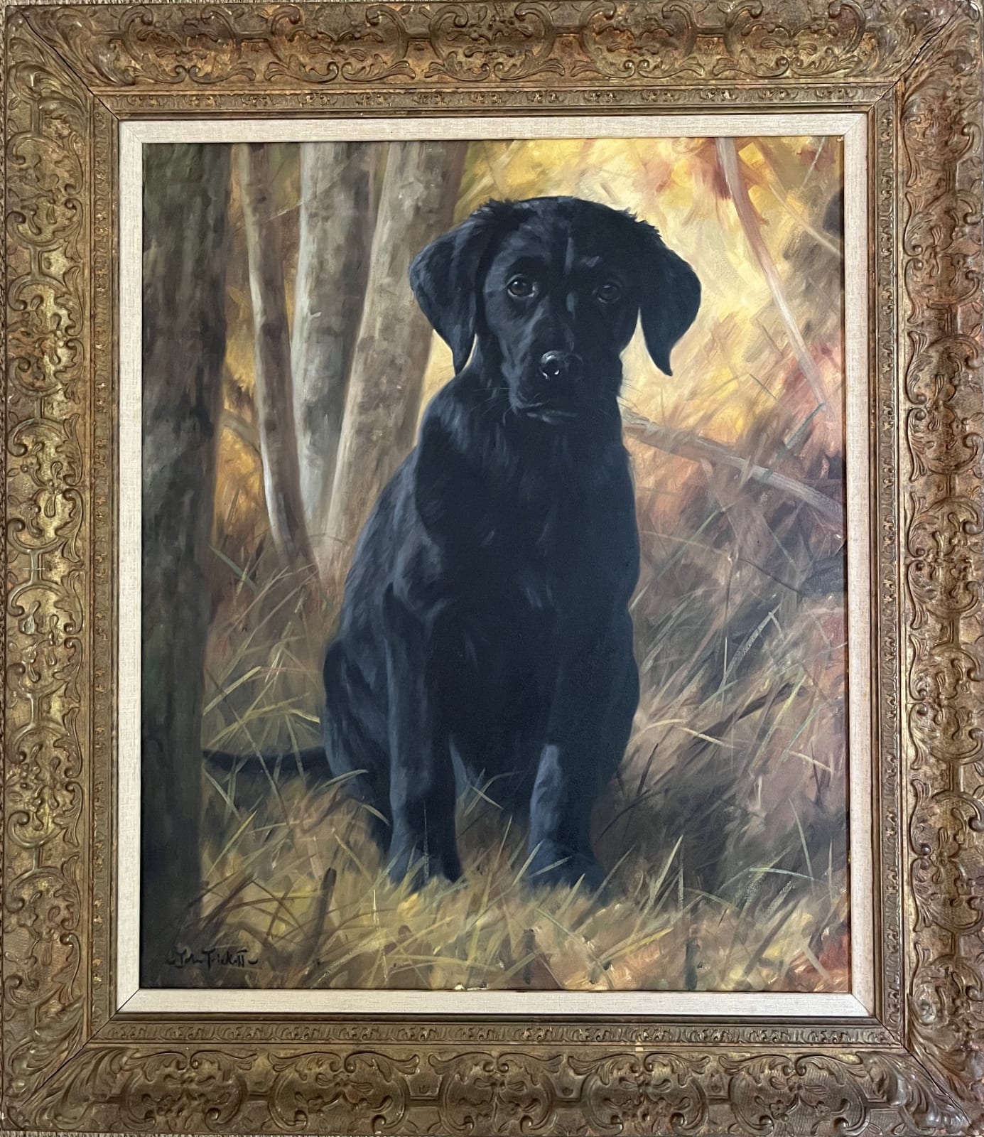 John Trickett, John Trickett, Black Labrador Puppy, Autumnal Light