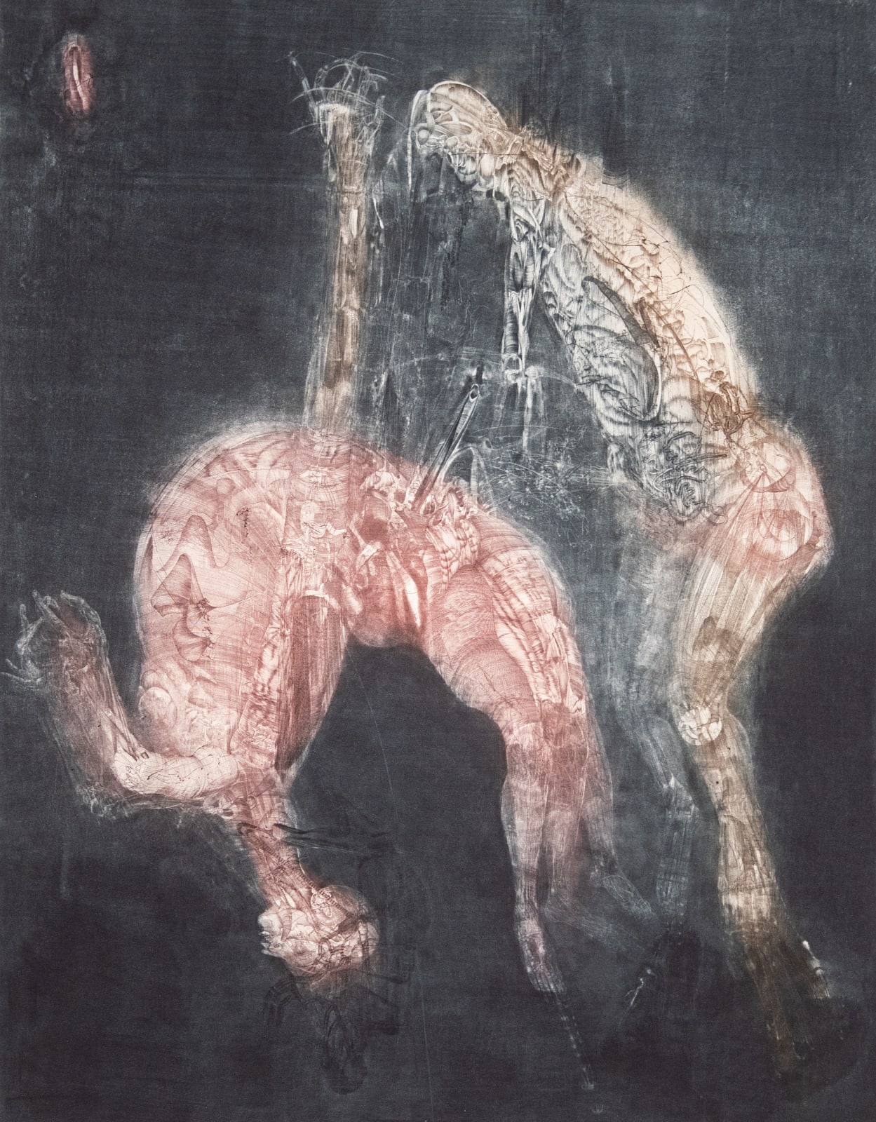 KAMASUTRA EL LOULABI II, 1973