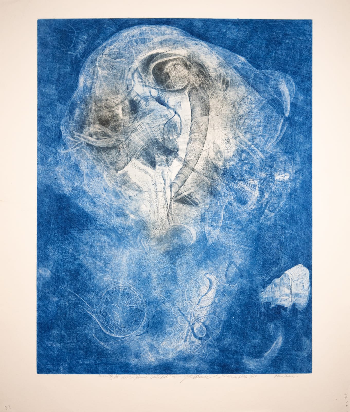 LÄCHELNDES GLÜCK BLAUE VARIANTE, 1974