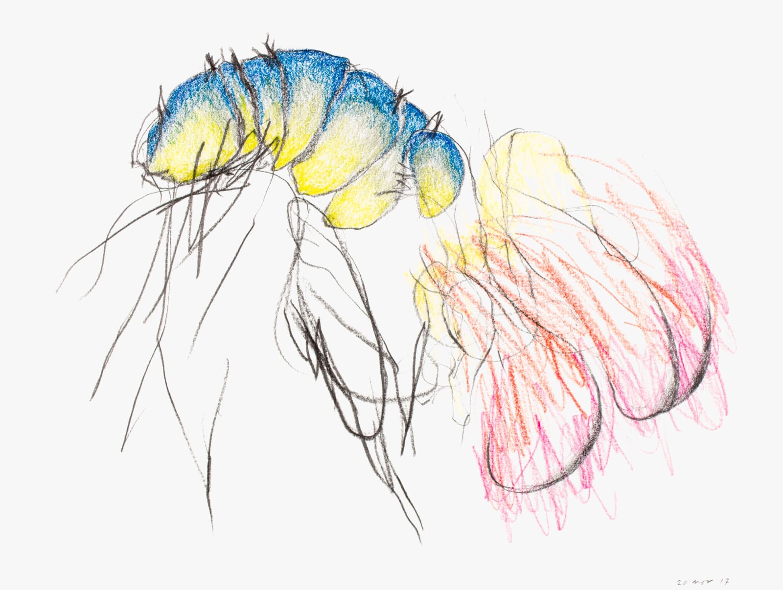 Untitled (Katalogos 2977) , 2017