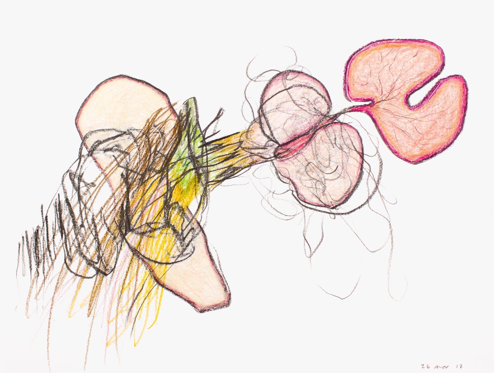 Untitled (Katalogos 2974), 2017