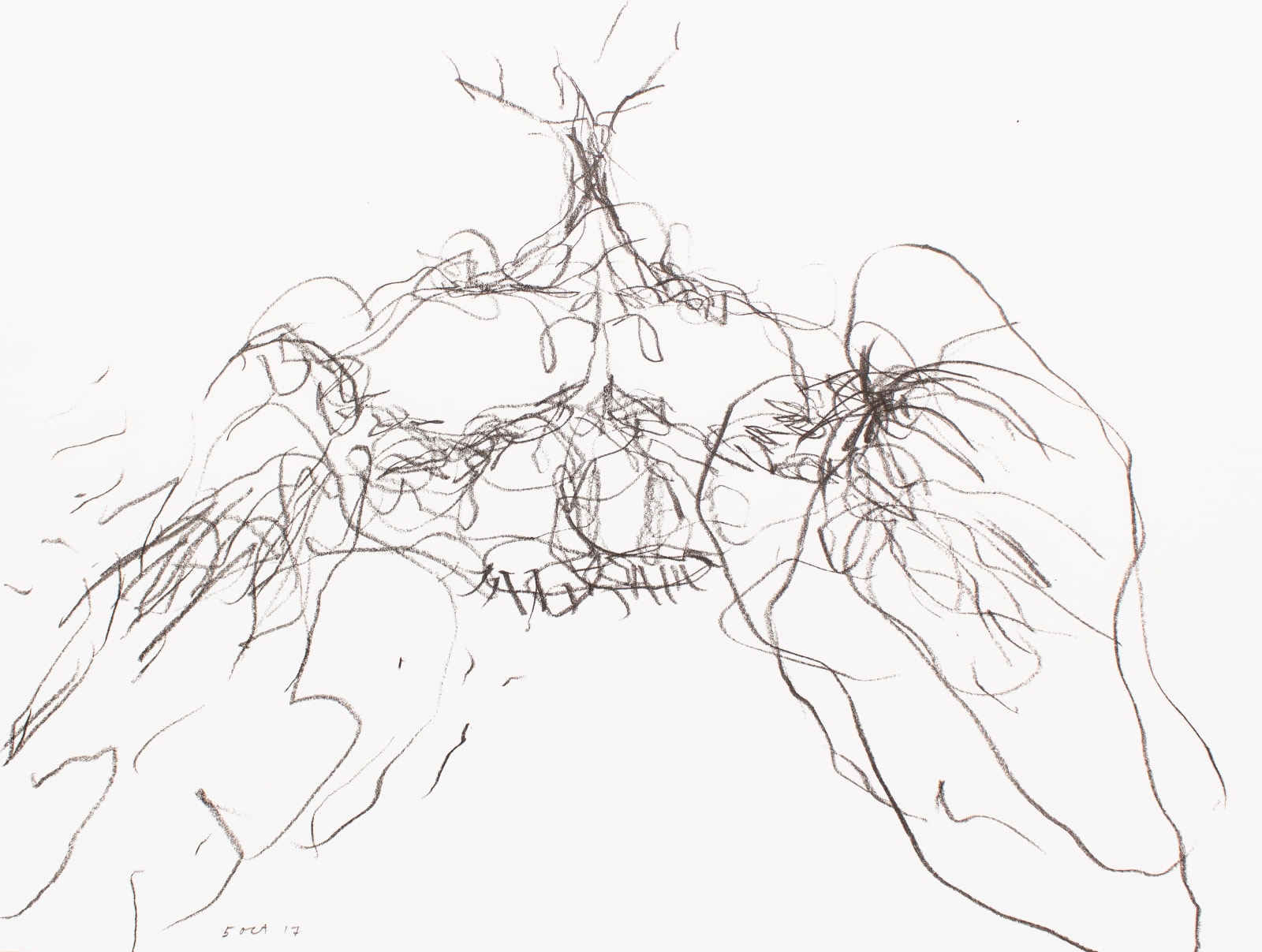 Untitled (Katalogos 2990), 2017