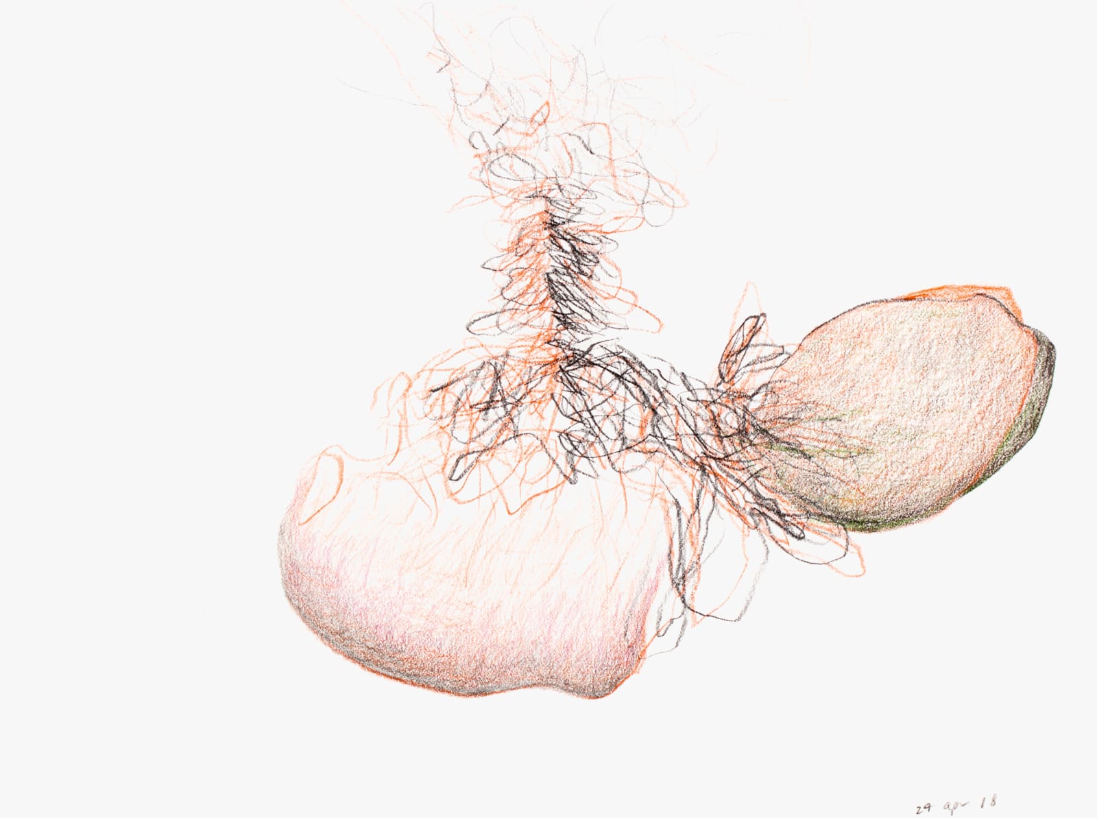 Untitled (Katalogos 3047), 2018