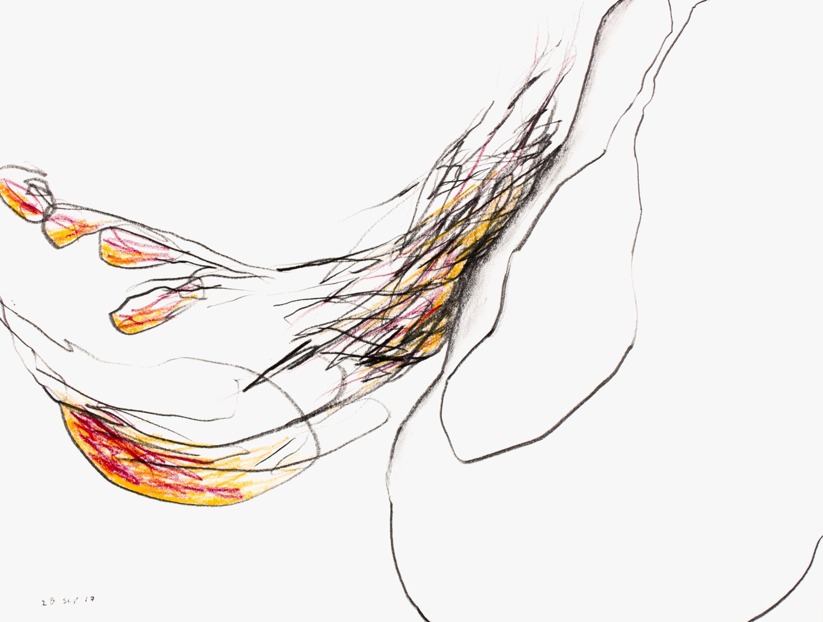 Untitled (Katalogos 2982), 2017