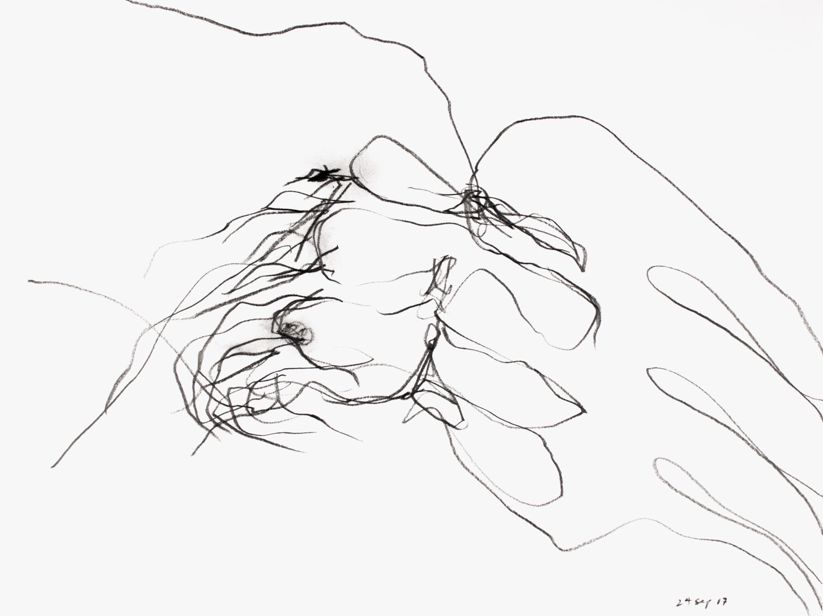 Untitled (Katalogos 2957), 2017