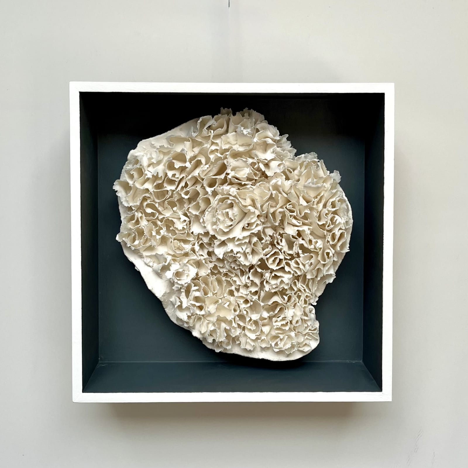 Anna Simson, Bloom I, 2024