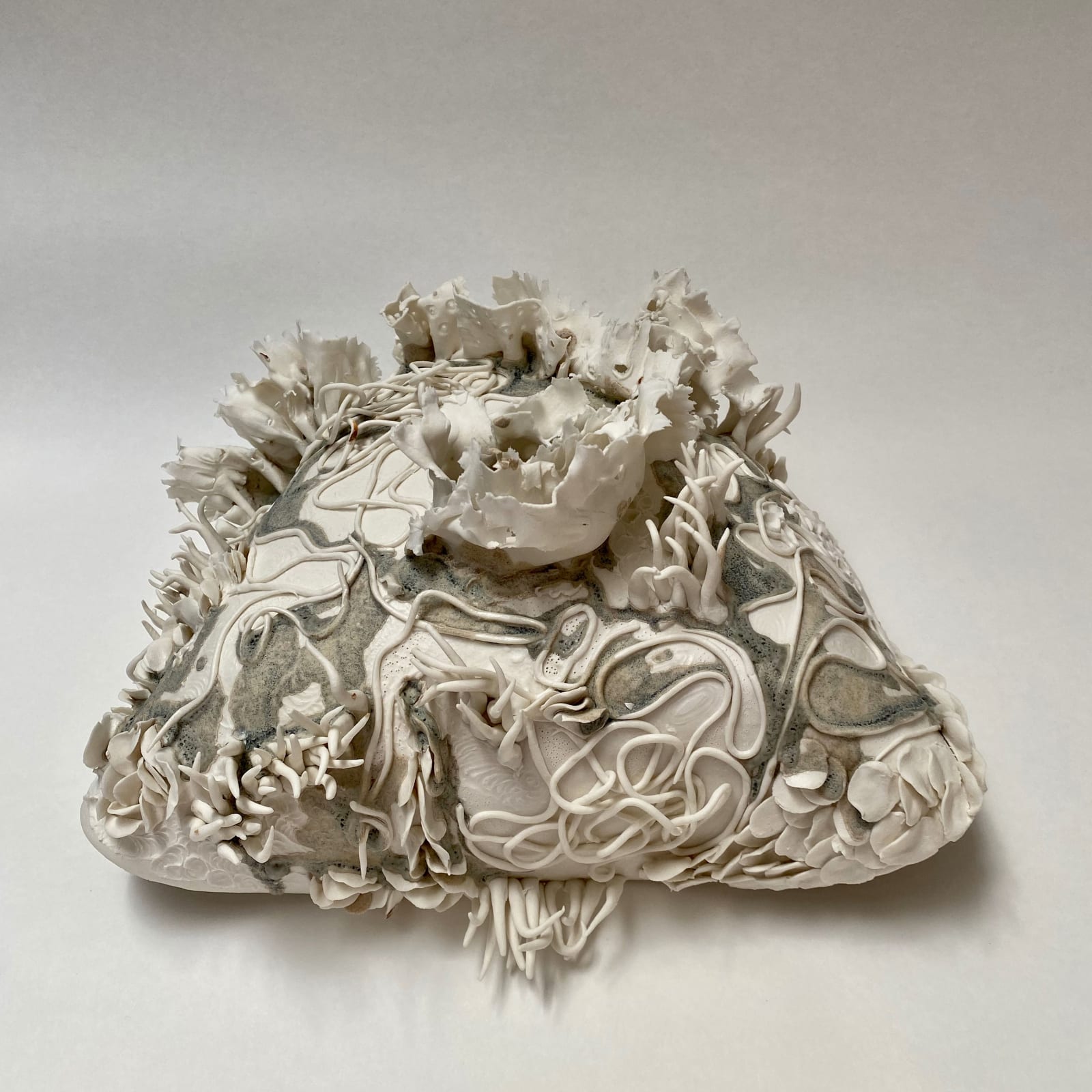 Anna Simson, Microcosm, 2024