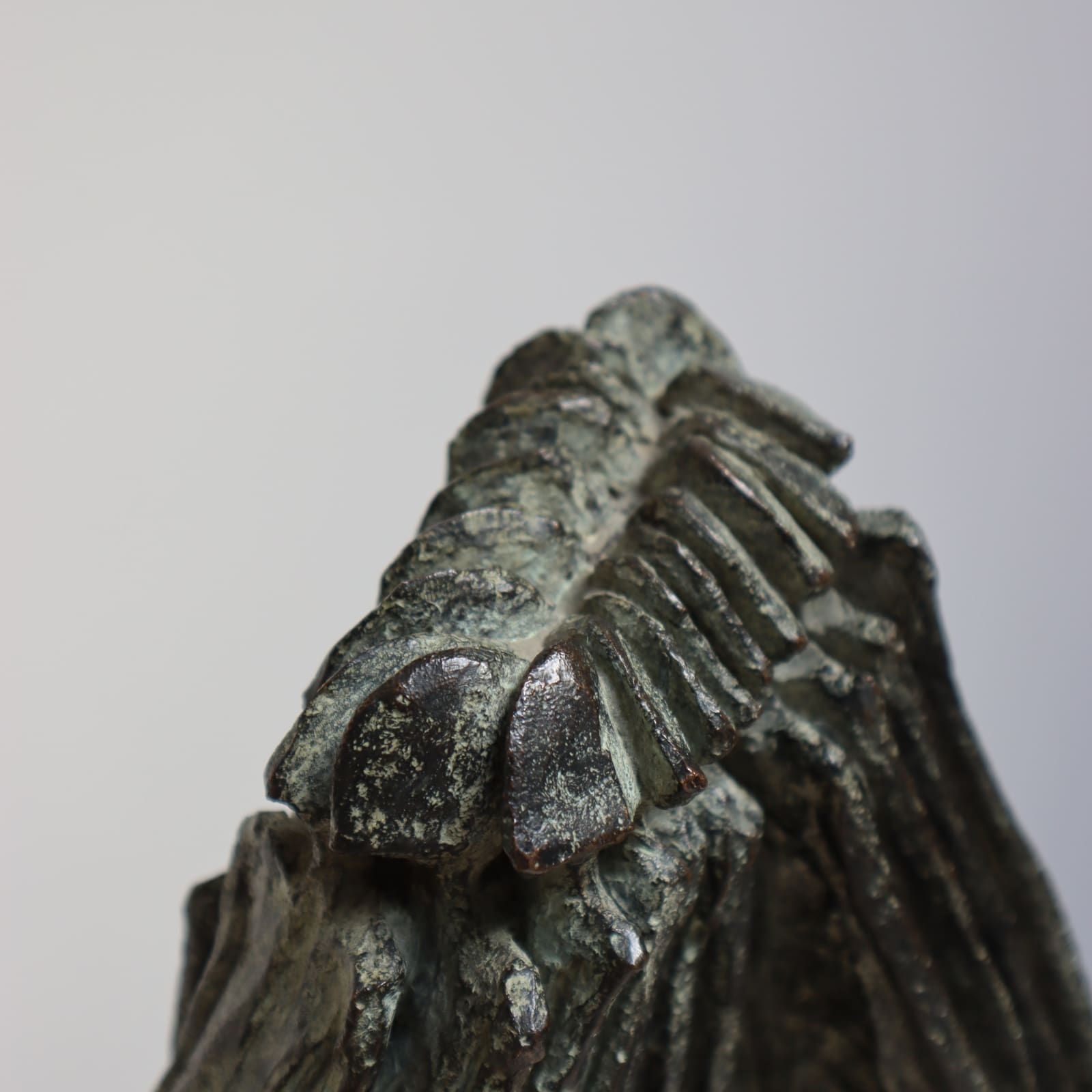 Dolores Previtali, Figures