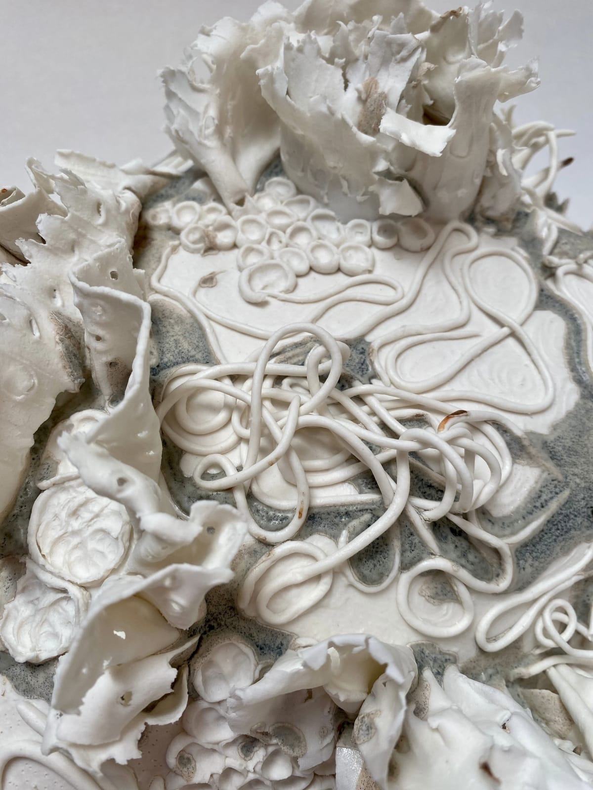 Anna Simson, Microcosm, 2024