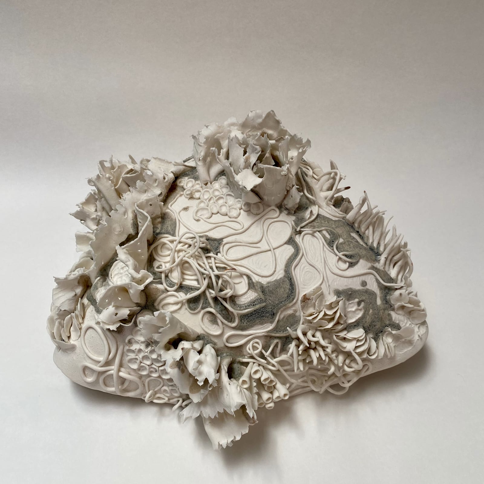 Anna Simson, Microcosm, 2024