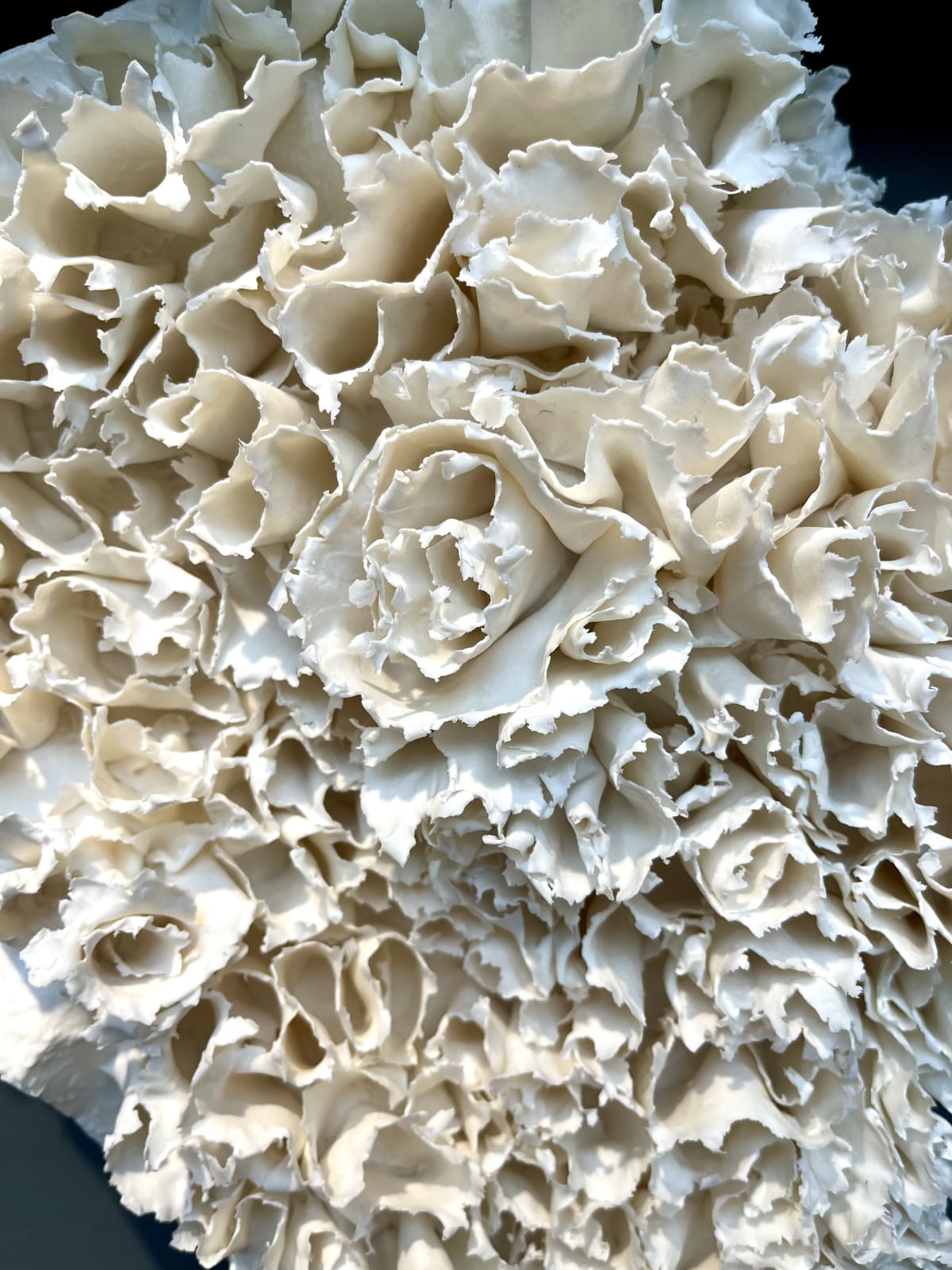 Anna Simson, Bloom I, 2024