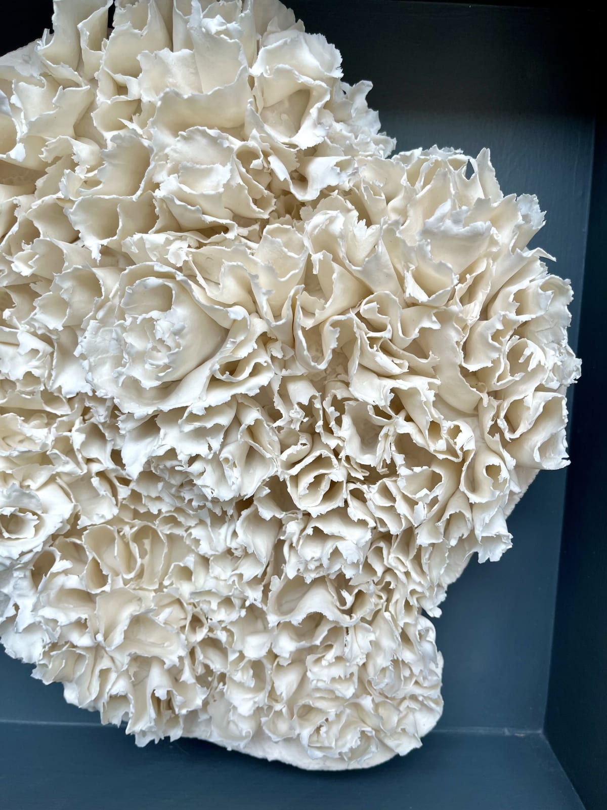 Anna Simson, Bloom I, 2024