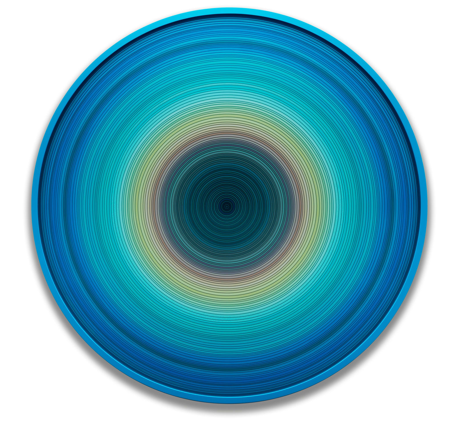 Max Patté, South Coast - Spring 18:02 41°20’53.0”S 174°45’44.0”E, 2019