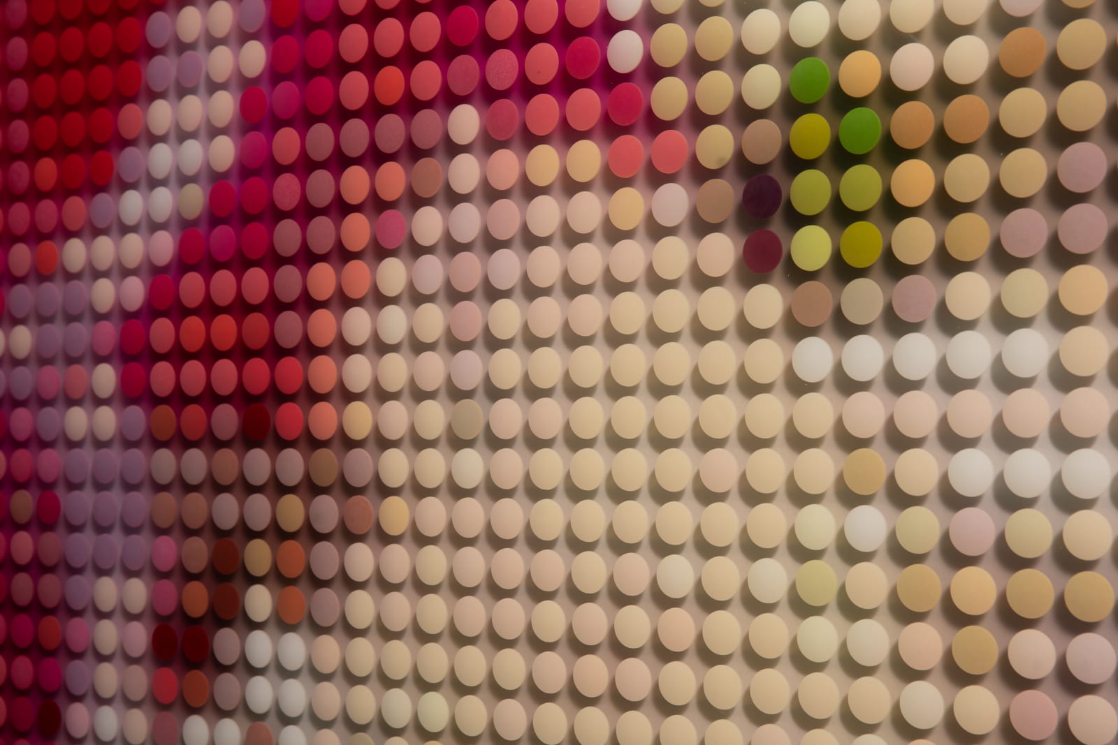 Max Patté, Sweetpea Droplet Diptych (#1), 2020