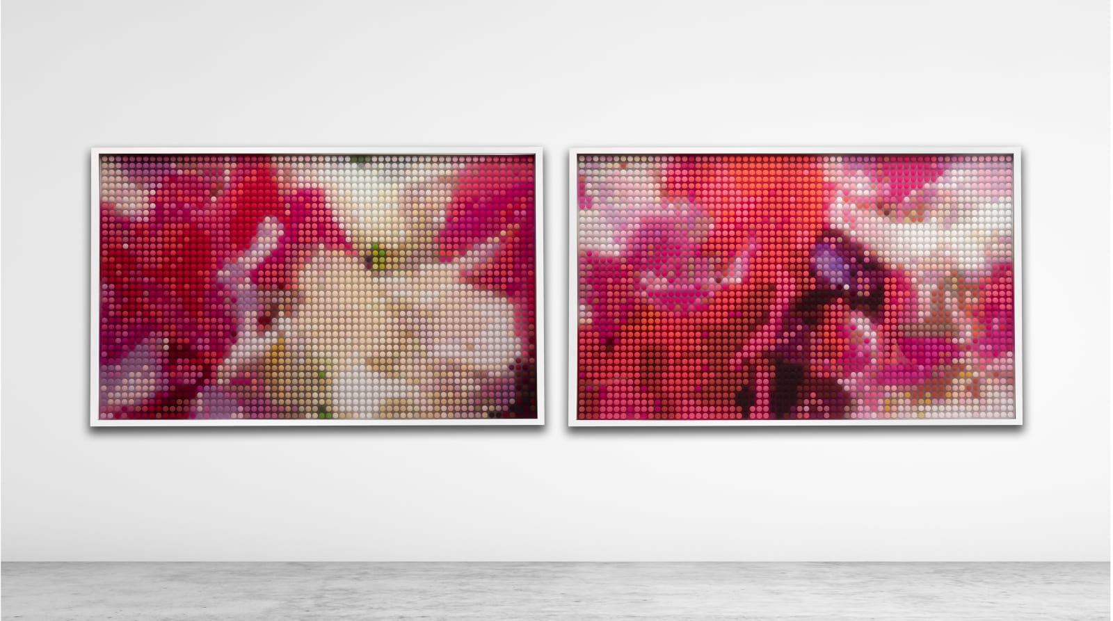 Max Patté, Sweetpea Droplet Diptych (#1), 2020