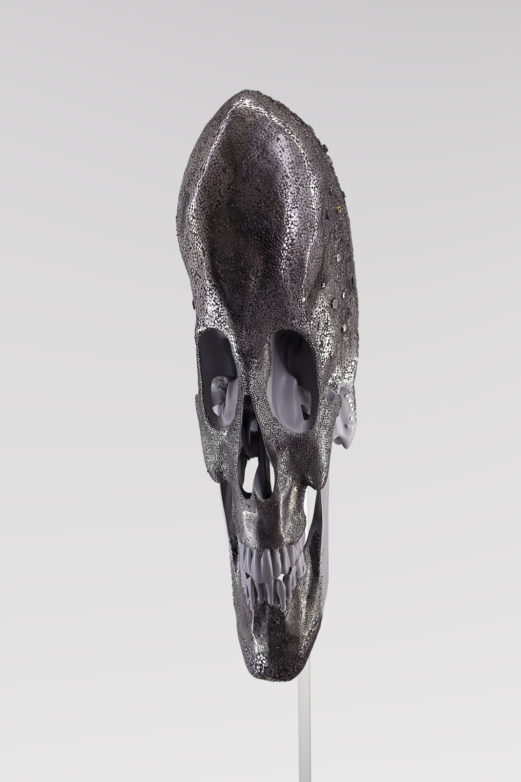 Javier Murcia, Eidos Futurum 3, 2019