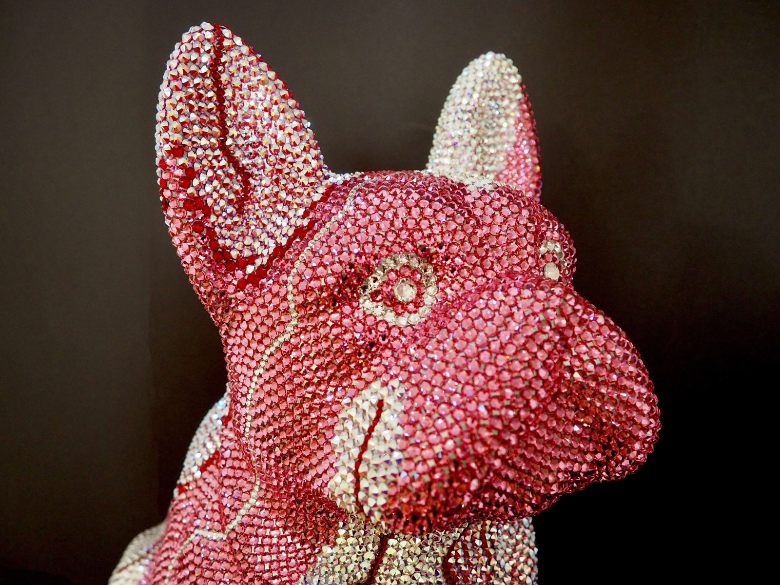 French Bruno, Graciano, 2020