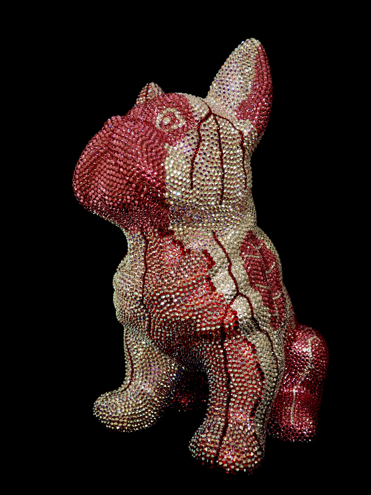 French Bruno, Graciano, 2020