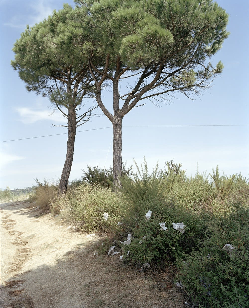 Xavier Ribas, Santuario (#5), 2002