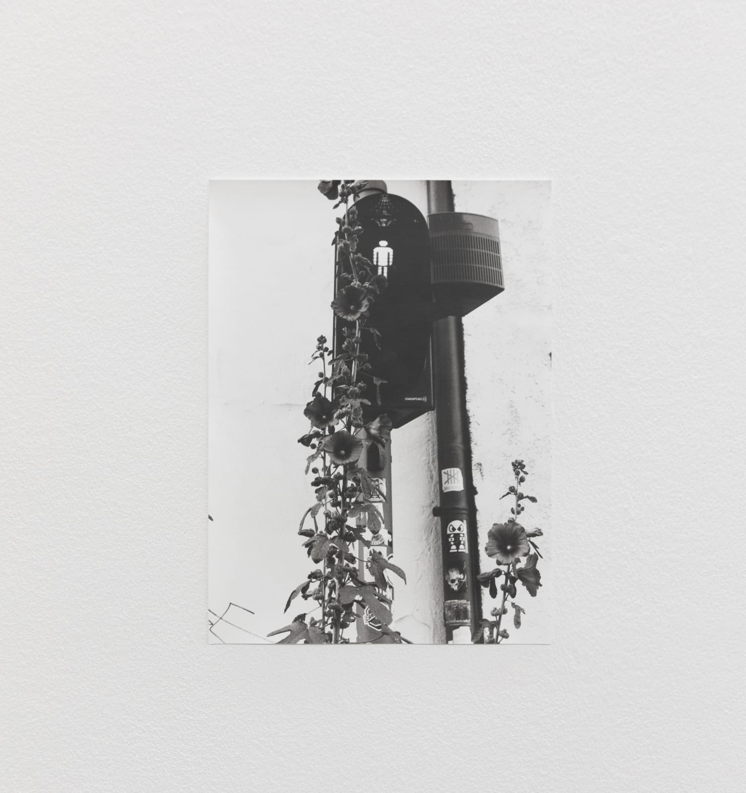 Jochen Lempert, Signals, 2022