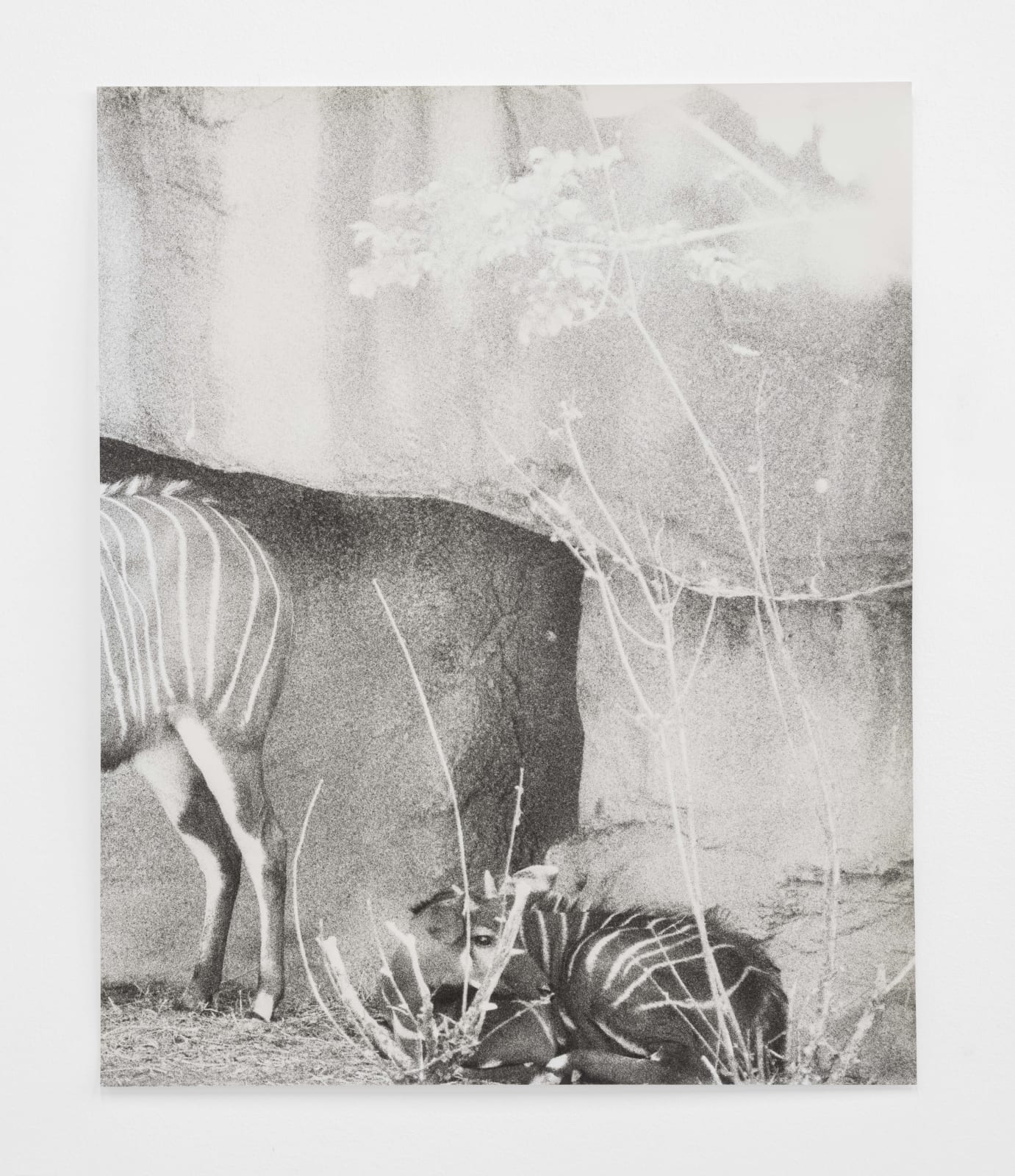 JOCHEN LEMPERT, Antilope, 2023