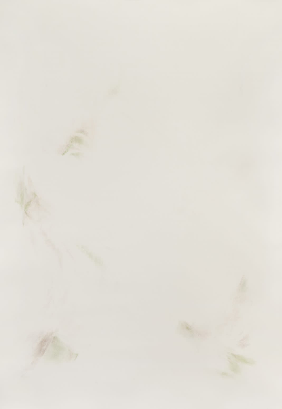 Patricia Dauder, Pliegues, 2023