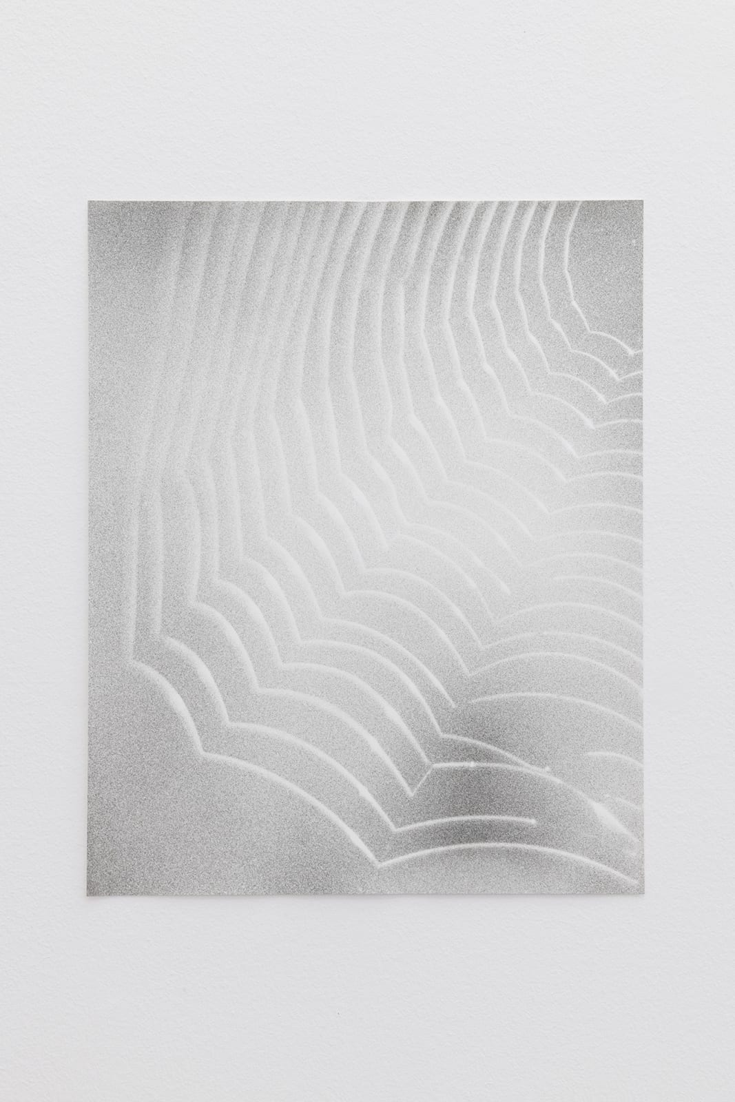 Jochen Lempert, Spiderweb, 2021