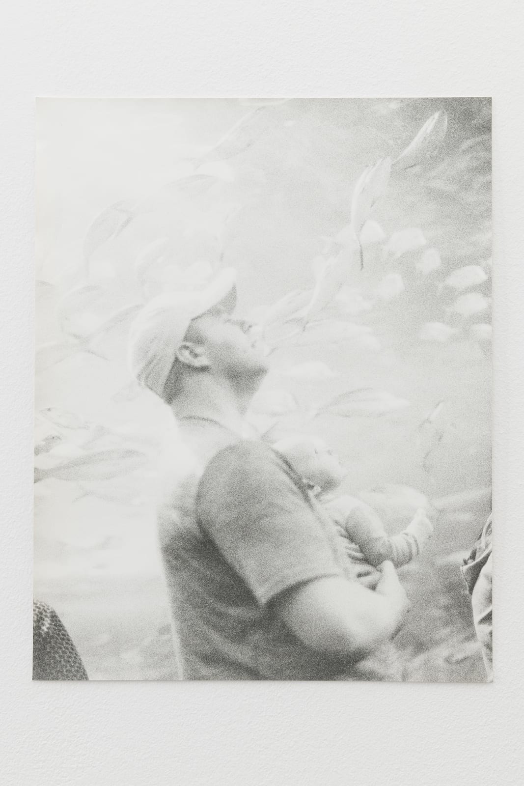 Jochen Lempert, Untitled (Aquarium Toronto), 2015