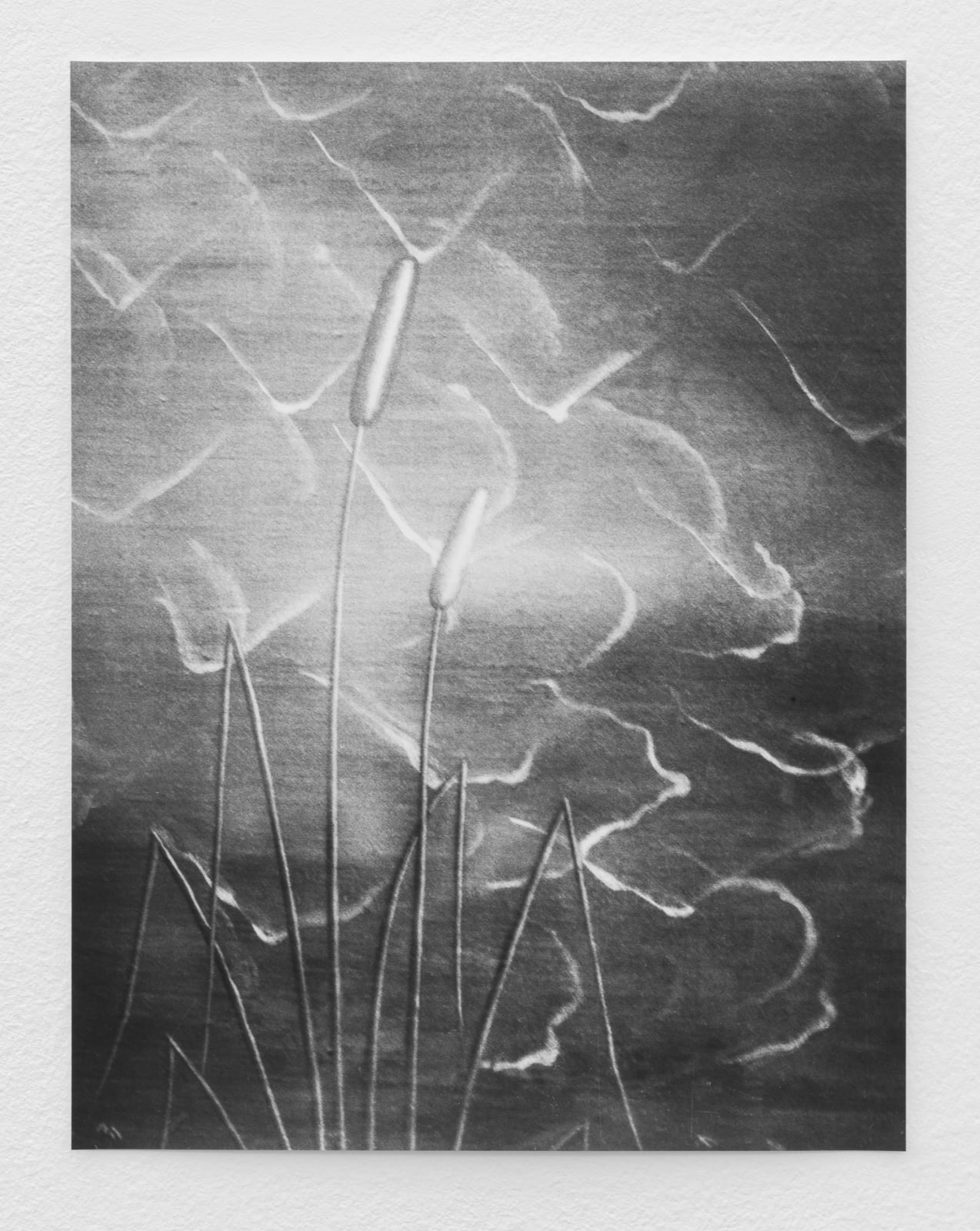 Jochen Lempert, Untitled (Botticelli III), 2017