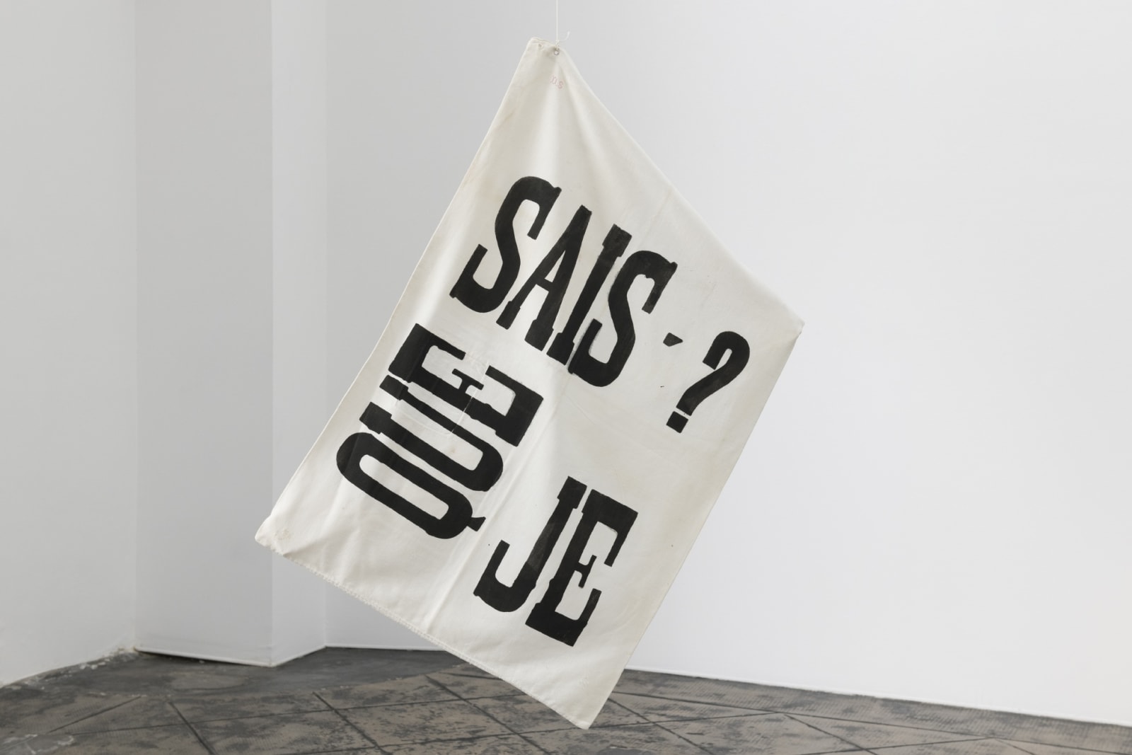 Ana Jotta, Que Sais-Je?, 2011