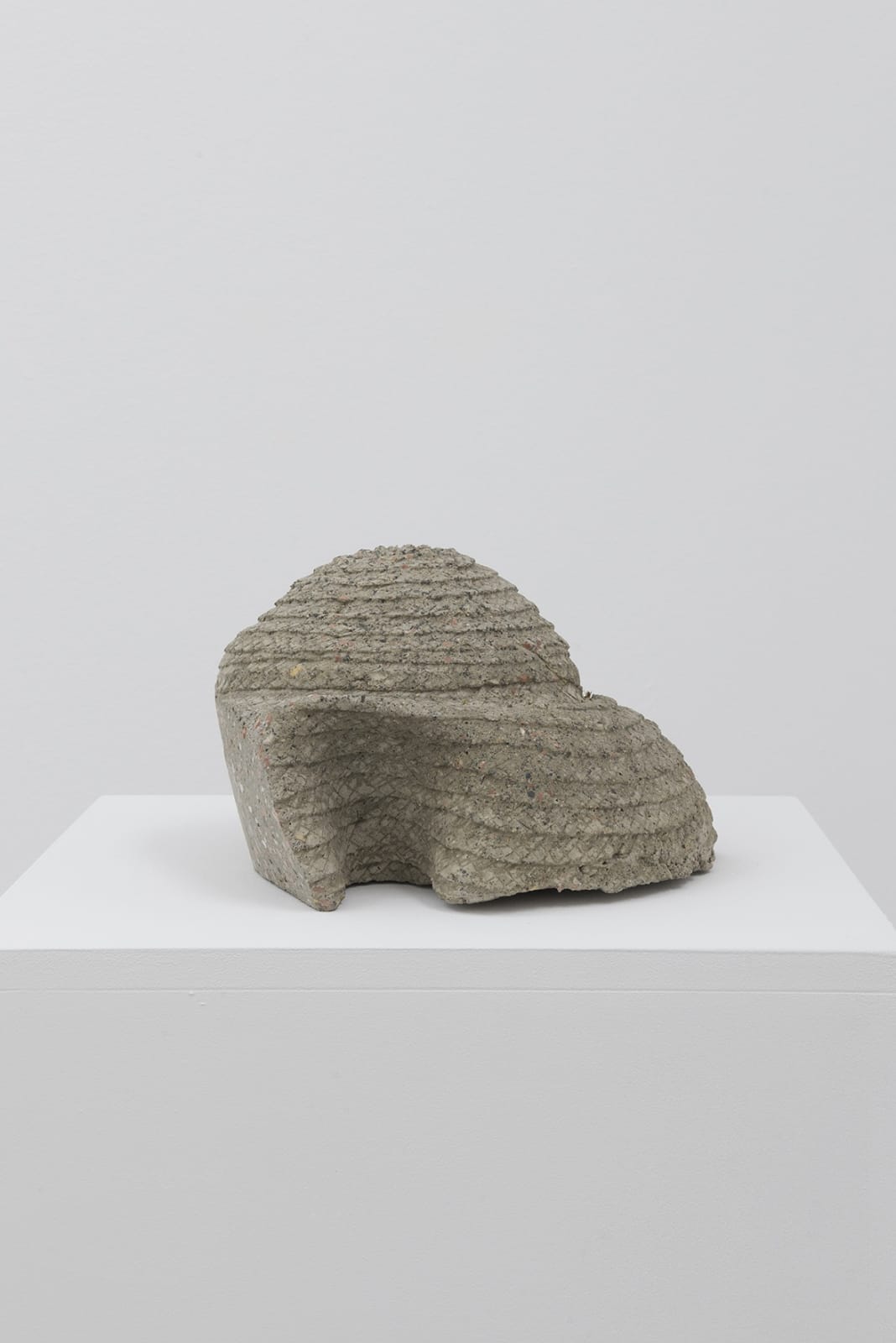 Asier Mendizabal, Stilfragen (crania), 2016