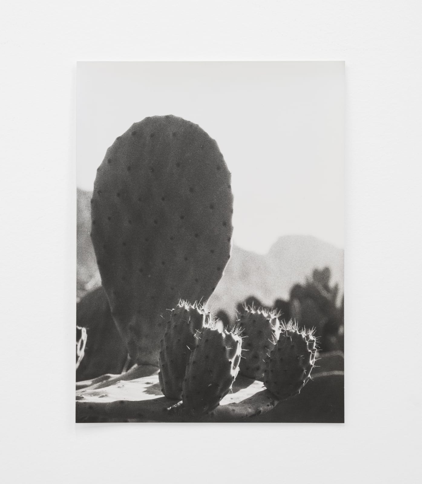 Jochen Lempert, Nouvelle Objectivité, 2022