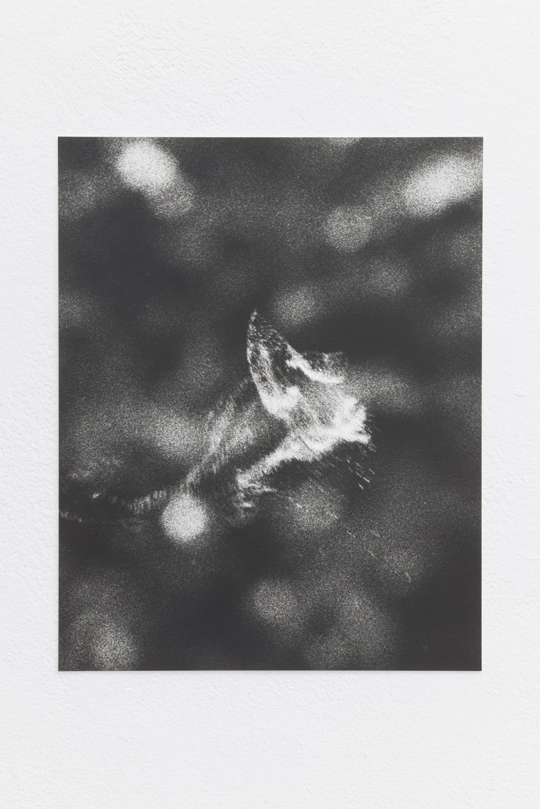 Jochen Lempert, Pollenwolke (Brennessel), 2022