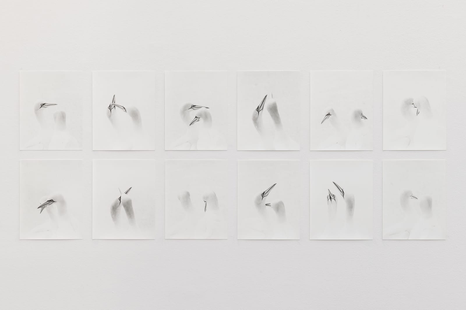 Jochen Lempert, Bills, 2020