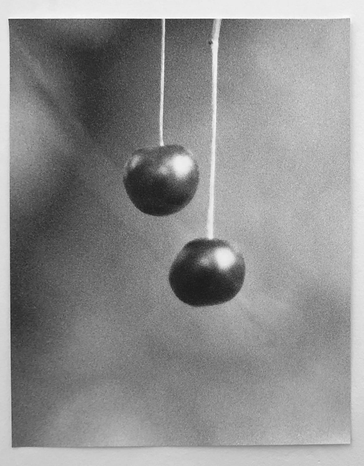Jochen Lempert, Kirschen III, 2022