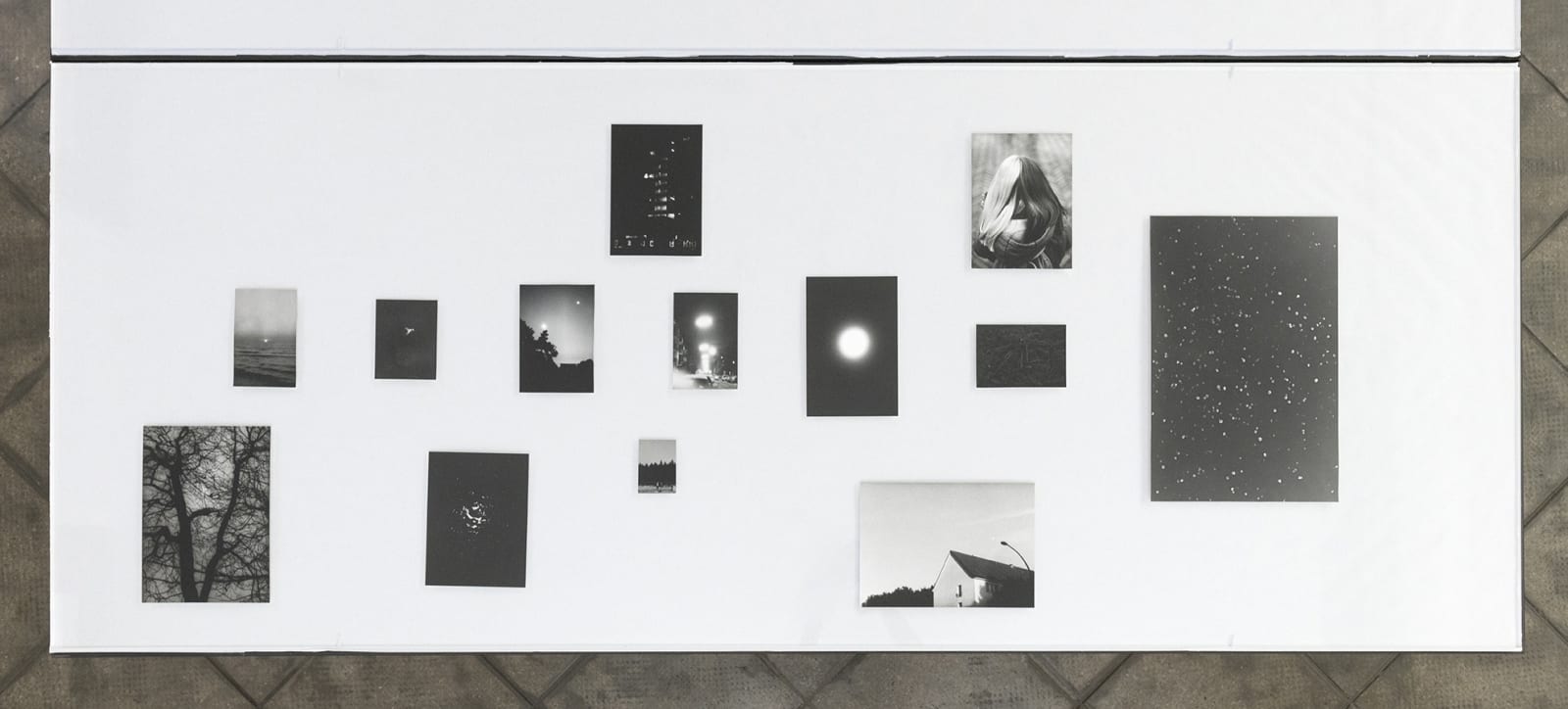 Jochen Lempert, Visible Light II (vitrine), 2021
