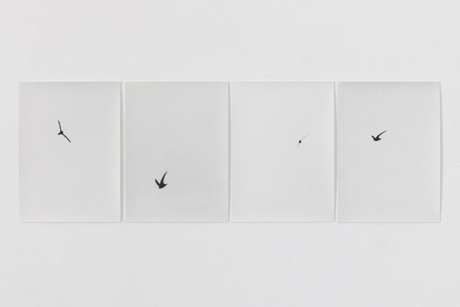 JOCHEN LEMPERT, Apus apus, 2017