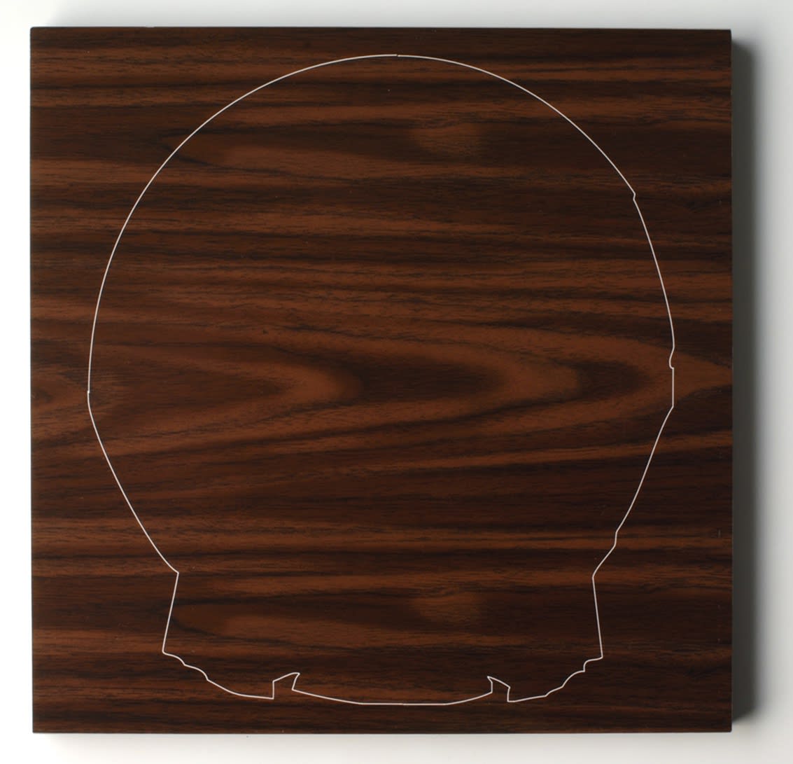Asier Mendizabal, Delimitar #1, 2009