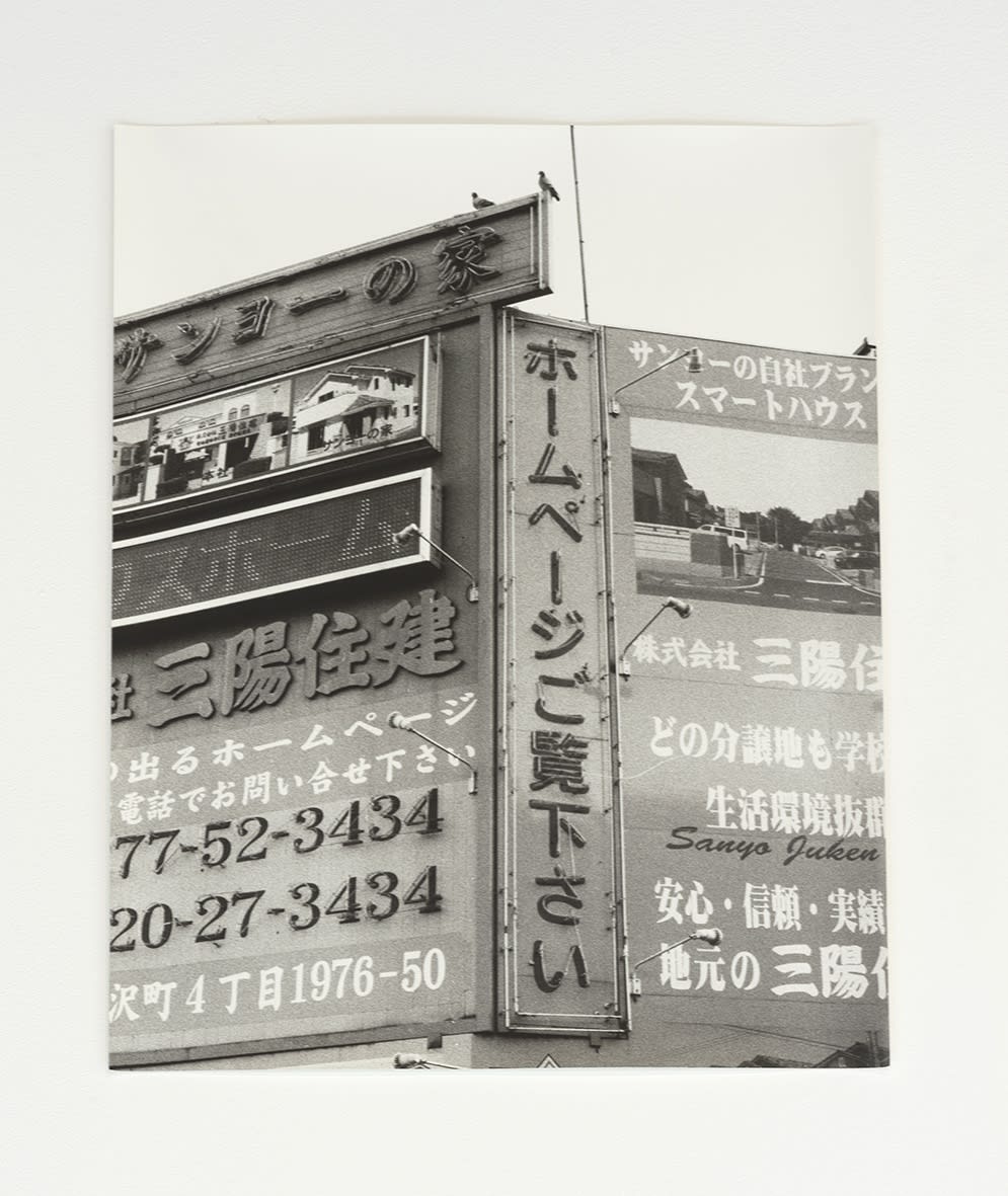 Jochen Lempert, The Pair (Japan), 2022
