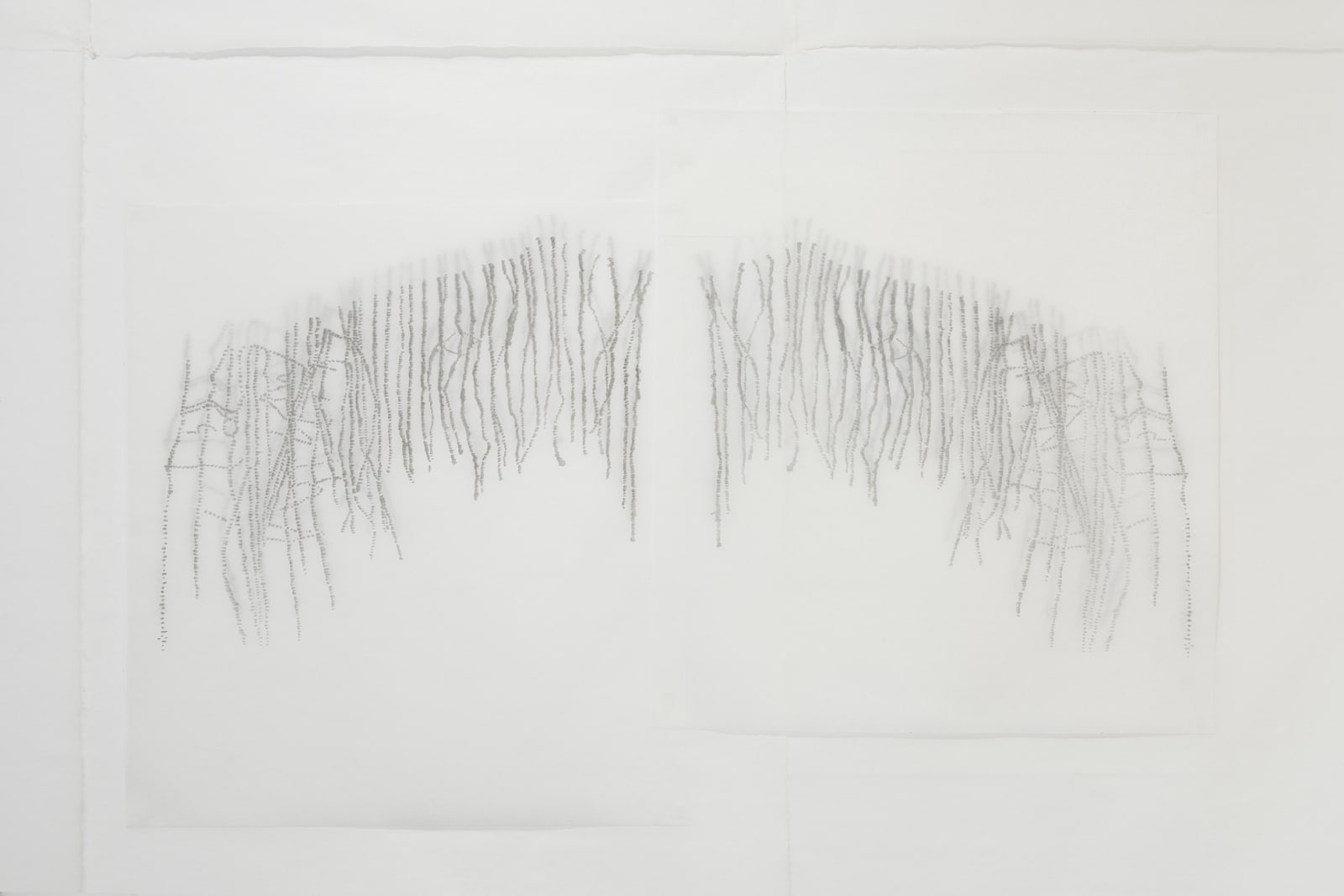 Patricia Dauder, Whales Lines, 2021