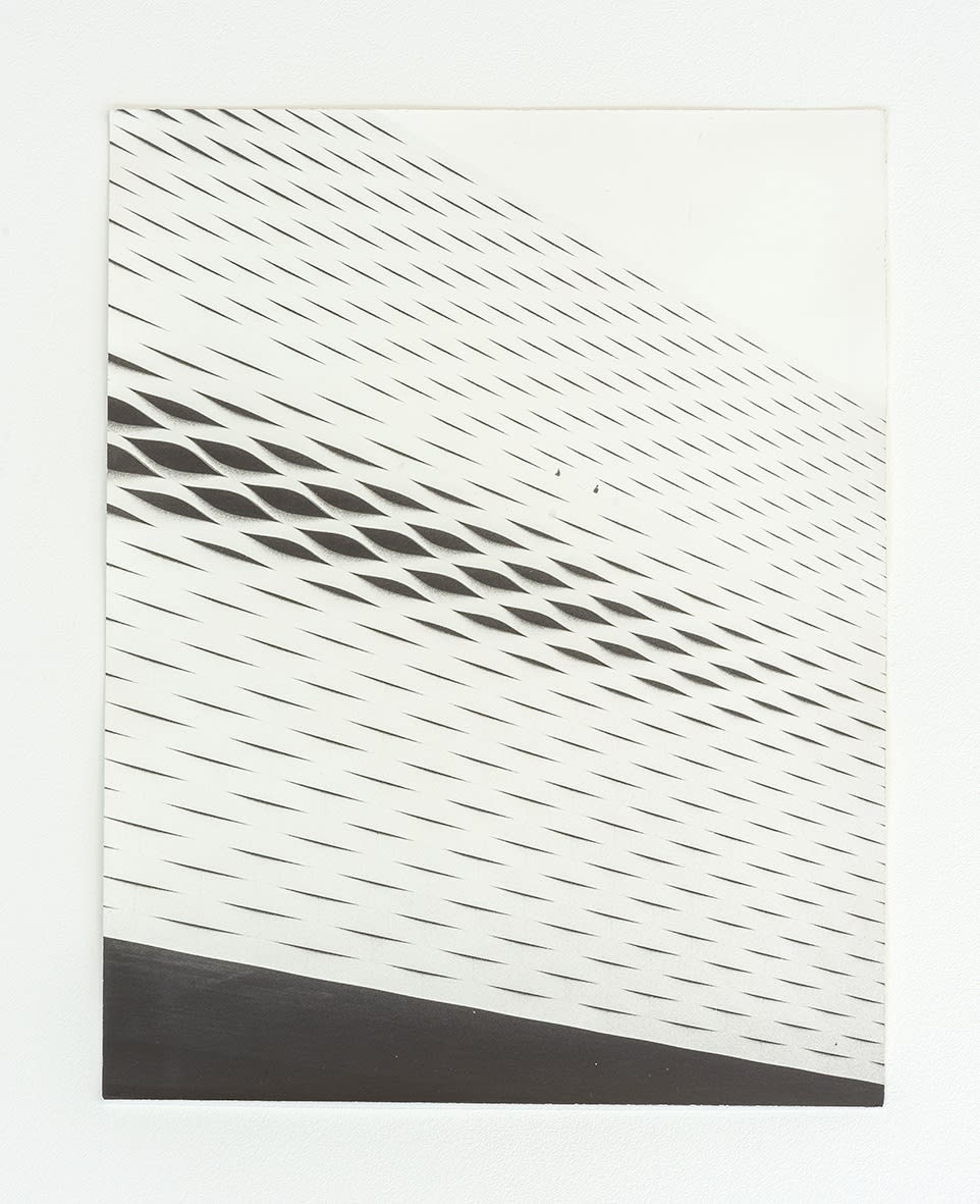 Jochen Lempert, The Pair (Rock Basel), 2022