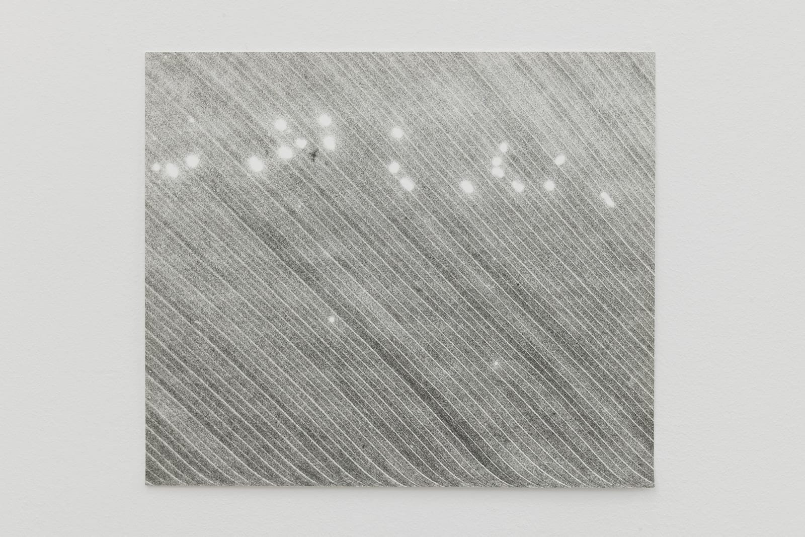 Jochen Lempert, Untitled (Zoophonie II), 2017